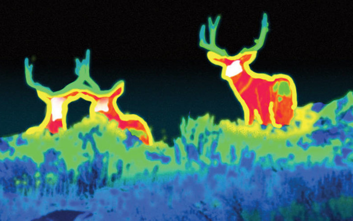 Effective night vision relies on high quality infrared optical systems	 Night vision image of a herd of deer
